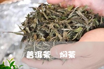 普洱茶 焖茶/2023042882642